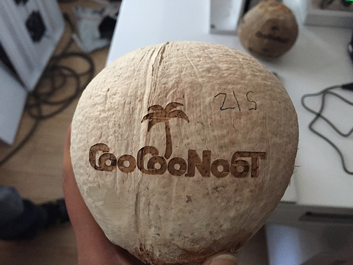 CO2 激光雕刻椰子創意 CO2 激光雕刻椰子創意