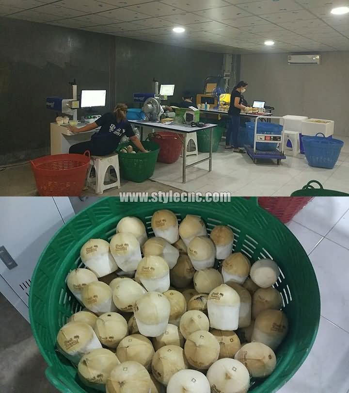 泰國椰子激光雕刻機 泰國椰子激光雕刻機