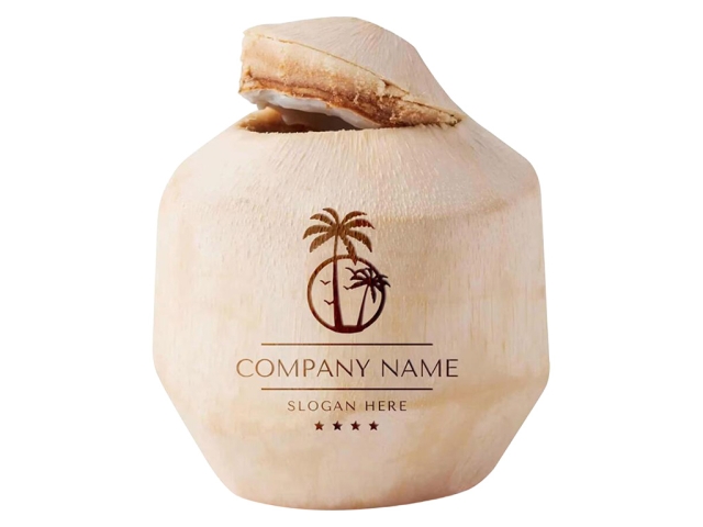 CO2 激光打標機在新鮮椰子上 DIY 定制徽標 CO2 激光打標機在新鮮椰子上 DIY 定制徽標