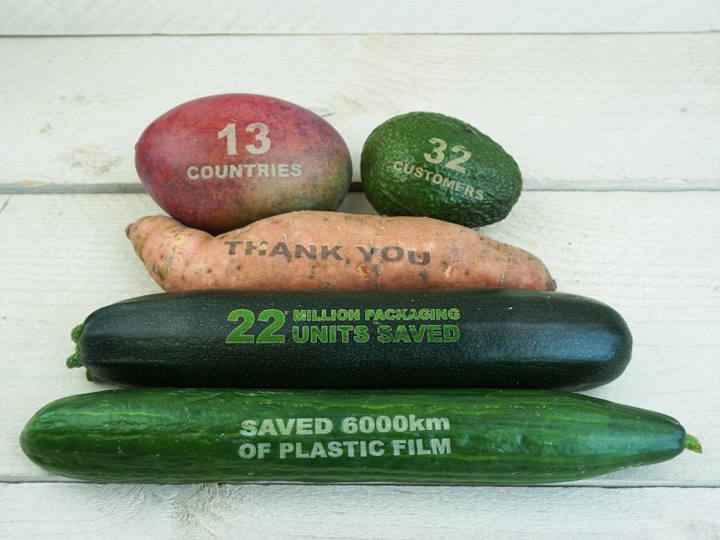 CO2 用于新鮮水果雕刻項目的激光打標機 CO2 用于新鮮水果雕刻項目的激光打標機