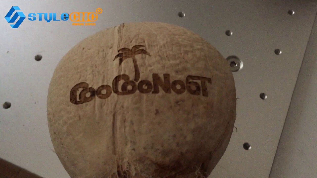 實惠價格 CO2 椰子激光水果打標機 實惠價格 CO2 椰子激光水果打標機